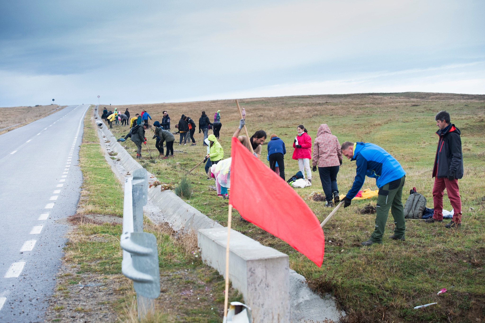 Plantare Ocna Sibiului 13